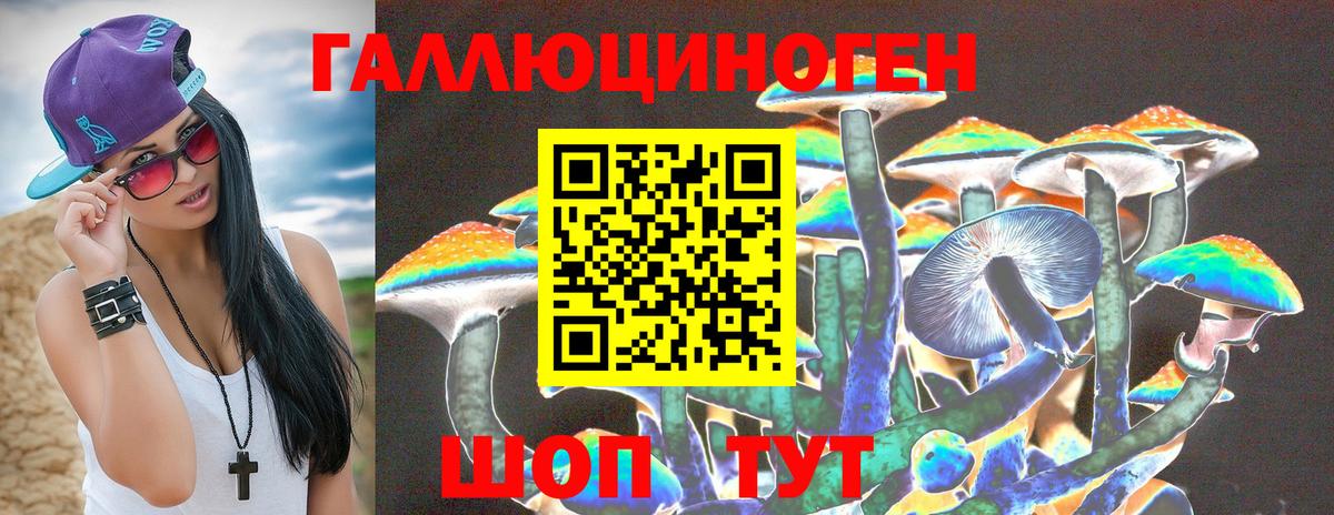 Псилоцибиновые грибы Psilocybe Сосновоборск